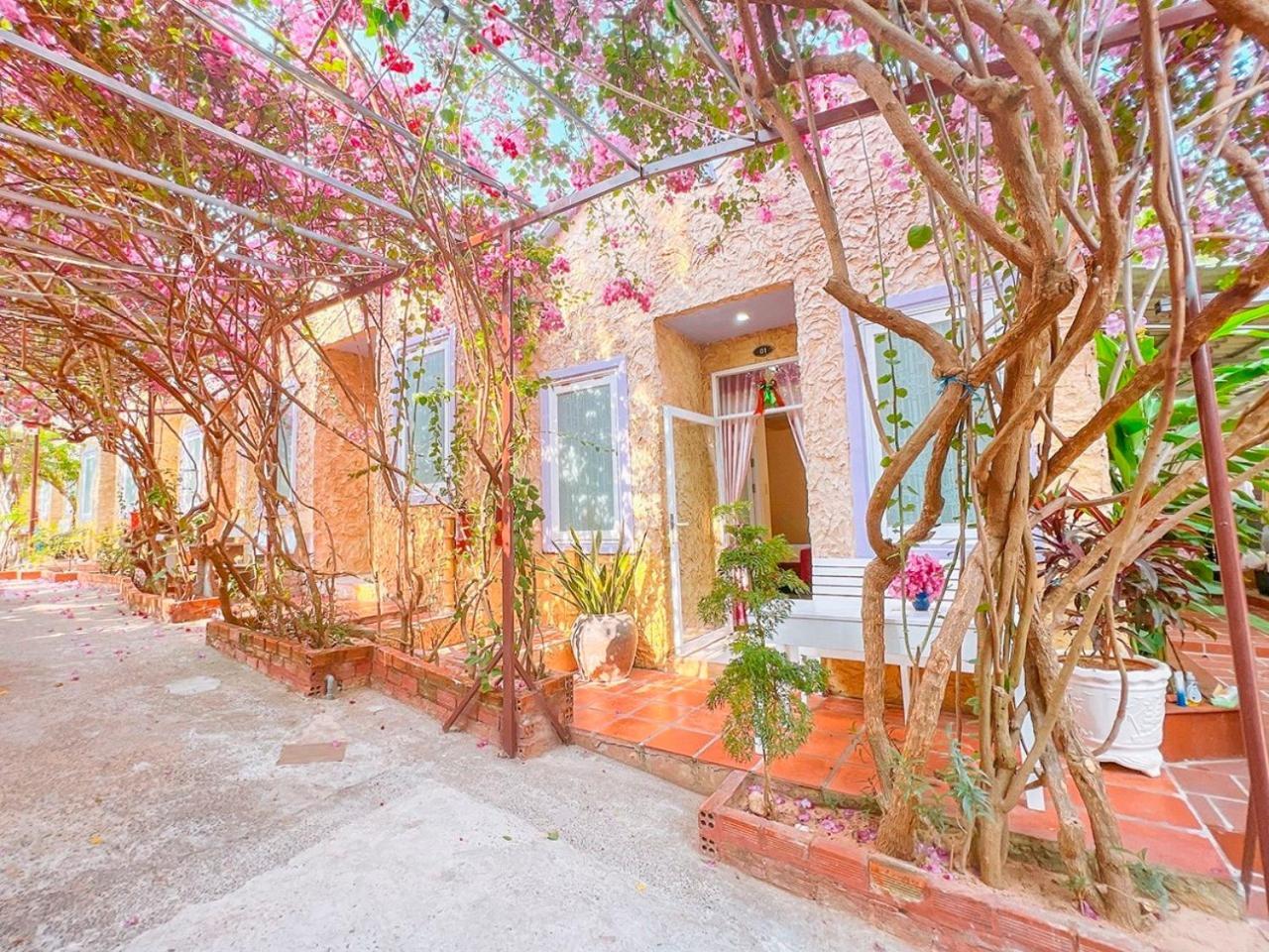 Mui Ne Sunlight Villa Dış mekan fotoğraf